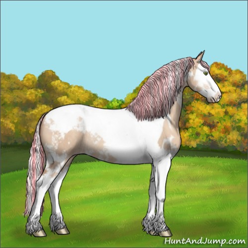 Horse Color:Painted White Spotted Silver Classic Champagne Dun Splash Tobiano Appaloosa Rabicano