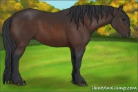 Horse Color:Brown 