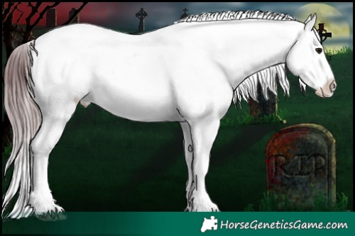 Horse Color:Platinum White Spotted Midnight Chocolate Brown Dun Appaloosa Brindle 