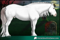 Horse Color:Platinum White Spotted Midnight Chocolate Brown Dun Blanket Brindle