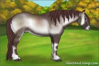 Horse Color:Platinum Chocolate Brown Onyx 