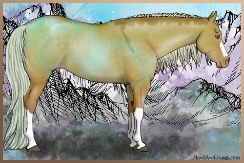 Horse Color:Silver Brown Pearl Dun