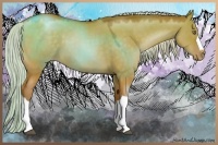 Horse Color:Silver Brown Pearl Dun
