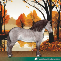 Horse Color:Platinum Chocolate Brown Roan Dun 