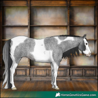 Horse Color:Platinum Brown Roan Splash Tobiano 