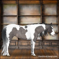 Horse Color:Platinum Brown Roan Splash Tobiano 