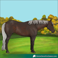 Horse Color:Silver Brown 