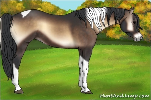 Horse Color:Brown Onyx Tobiano 