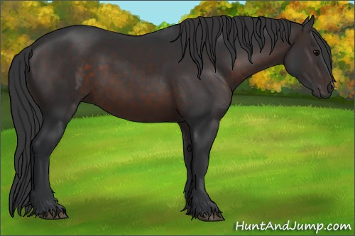 Horse Color:Brown 