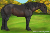 Horse Color:Brown 