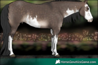 Horse Color:White Spotted Brown Dun Mushroom 