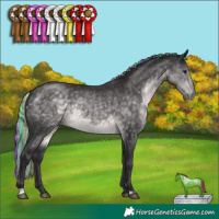 Horse Color:Platinum Painted Silver Buckskin 