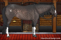 Horse Color:Platinum Brown 