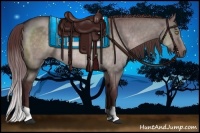 Horse Color:Platinum Chocolate Brown Dun Rabicano Brindle 