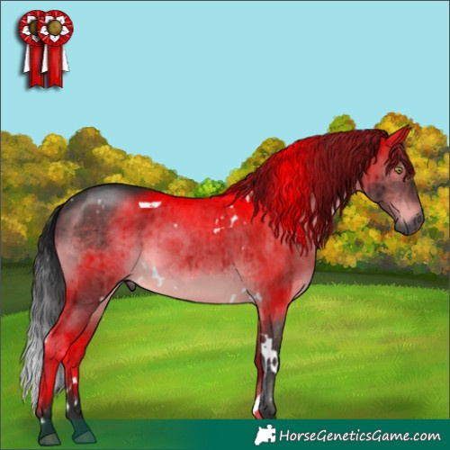 Horse Color:Gray Platinum White Spotted Brown Dun Brindle 