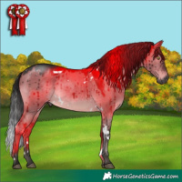 Horse Color:Gray Platinum White Spotted Brown Dun Brindle