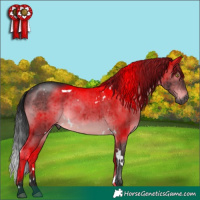 Horse Color:Gray Platinum White Spotted Brown Dun Brindle