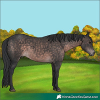 Horse Color:Platinum Brown