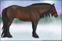 Horse Color:Brown 