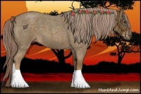 Horse Color:Chocolate Palomino Roan 