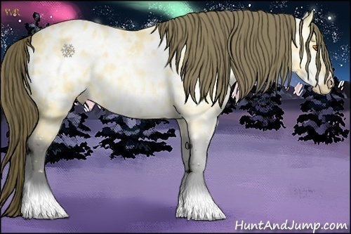 Horse Color:Buckskin Ice Appaloosa 