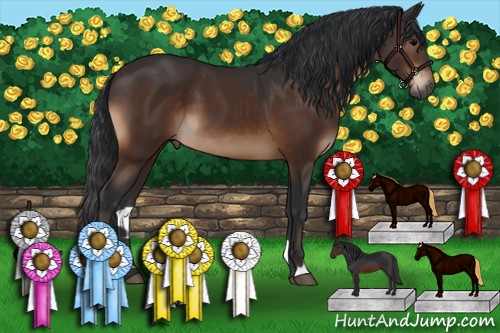 Horse Color:Brown 