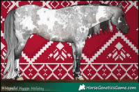 Horse Color:White Spotted Brown Roan 