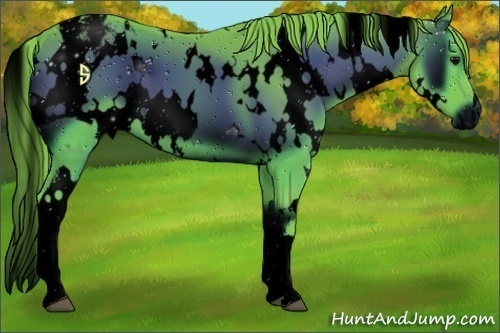 Horse Color:ERROR: UNKNOWN ANOMALY