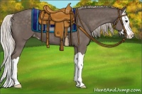 Horse Color:Silver Black Splash Appaloosa 