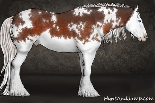 Horse Color:White Spotted Silver Brown Splash 