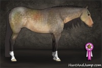 Horse Color:Buckskin Dun 