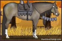 Horse Color:Smoky Grullo 