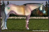 Horse Color:Brown Roan Onyx