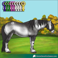 Horse Color:Platinum Buckskin Onyx 