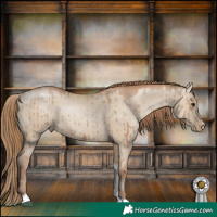 Horse Color:Grullo Pearl Tobiano Brindle 