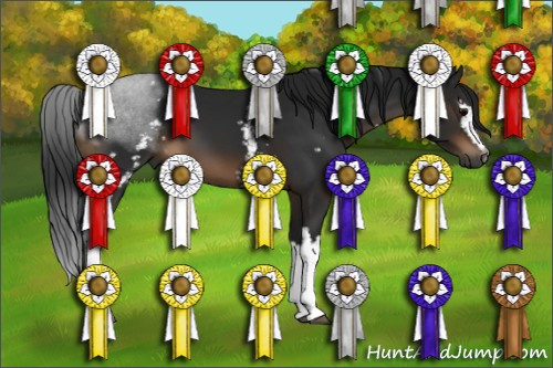 Horse Color:Gray White Spotted Brown 