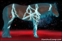 Horse Color:Thunderstruck Brown 