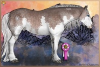 Horse Color:Platinum Silver Brown Splash 