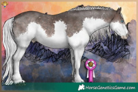 Horse Color:Platinum Silver Brown Splash