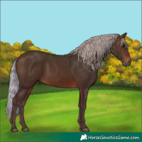 Horse Color:Silver Brown