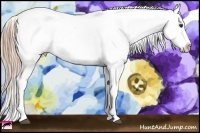 Horse Color:Chestnut Ice Tobiano Varnish 