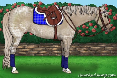 Horse Color:Silver Grullo Ice Rabicano
