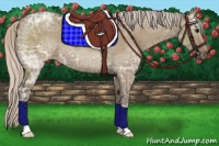 Horse Color:Silver Grullo Ice Rabicano