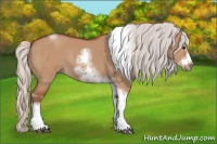 Horse Color:Silver Bay Dun Sabino Tobiano Frame Rabicano 