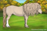 Horse Color:Perlino 