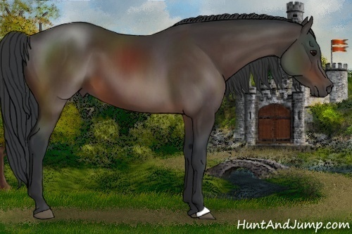 Horse Color:Brown 