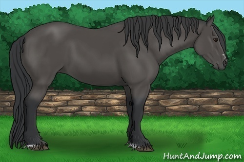 Horse Color:Black Sabino