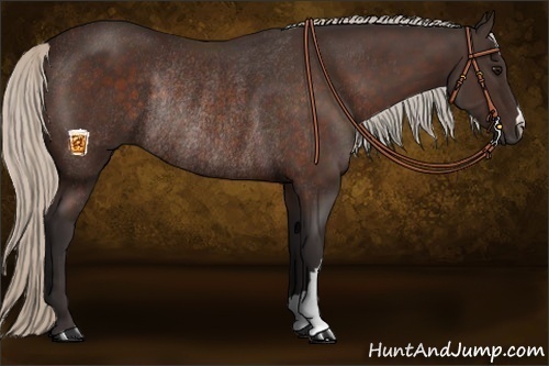 Horse Color:Silver Brown Rabicano 