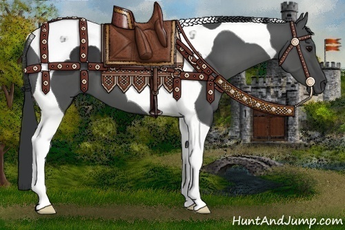 Horse Color:Black Tobiano 