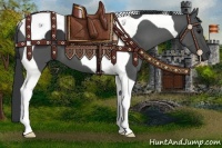 Horse Color:Black Tobiano 